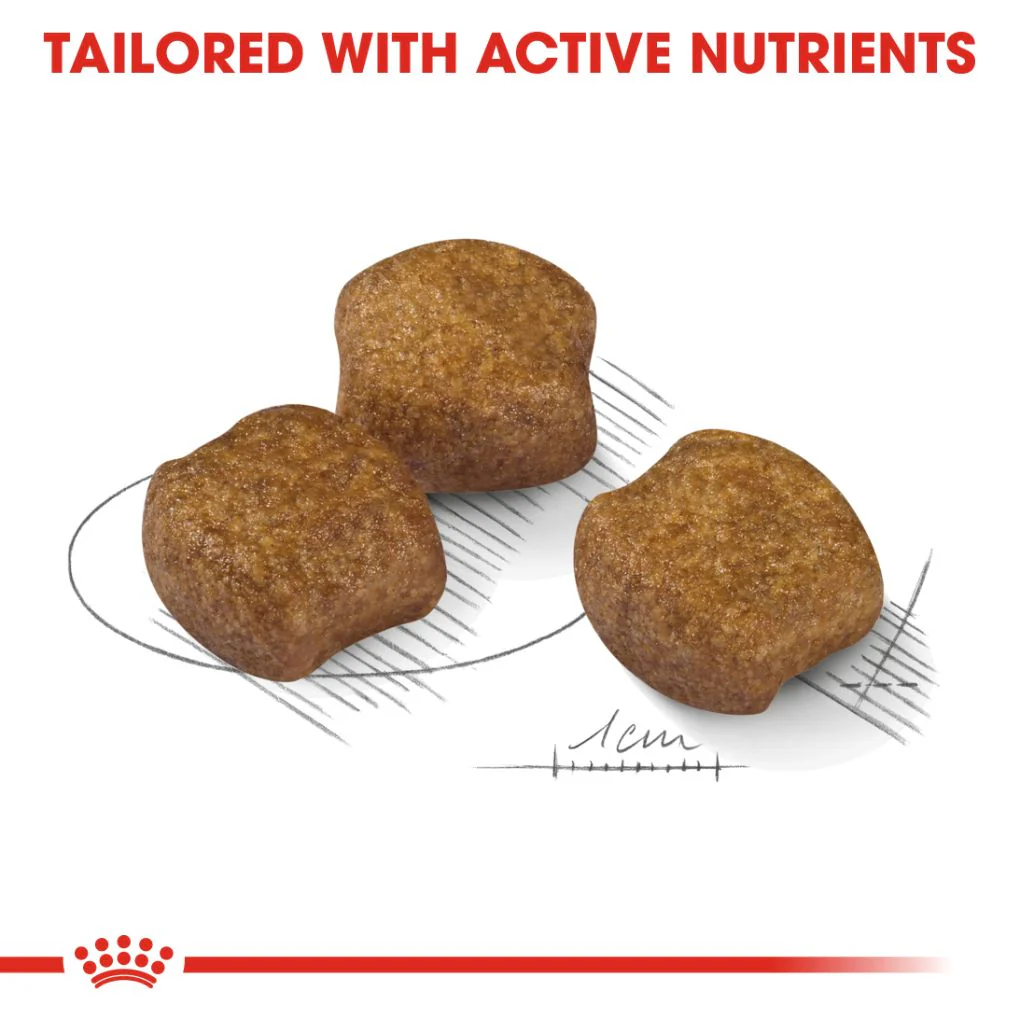 Royal Canin Medium Dental Care - Image 3