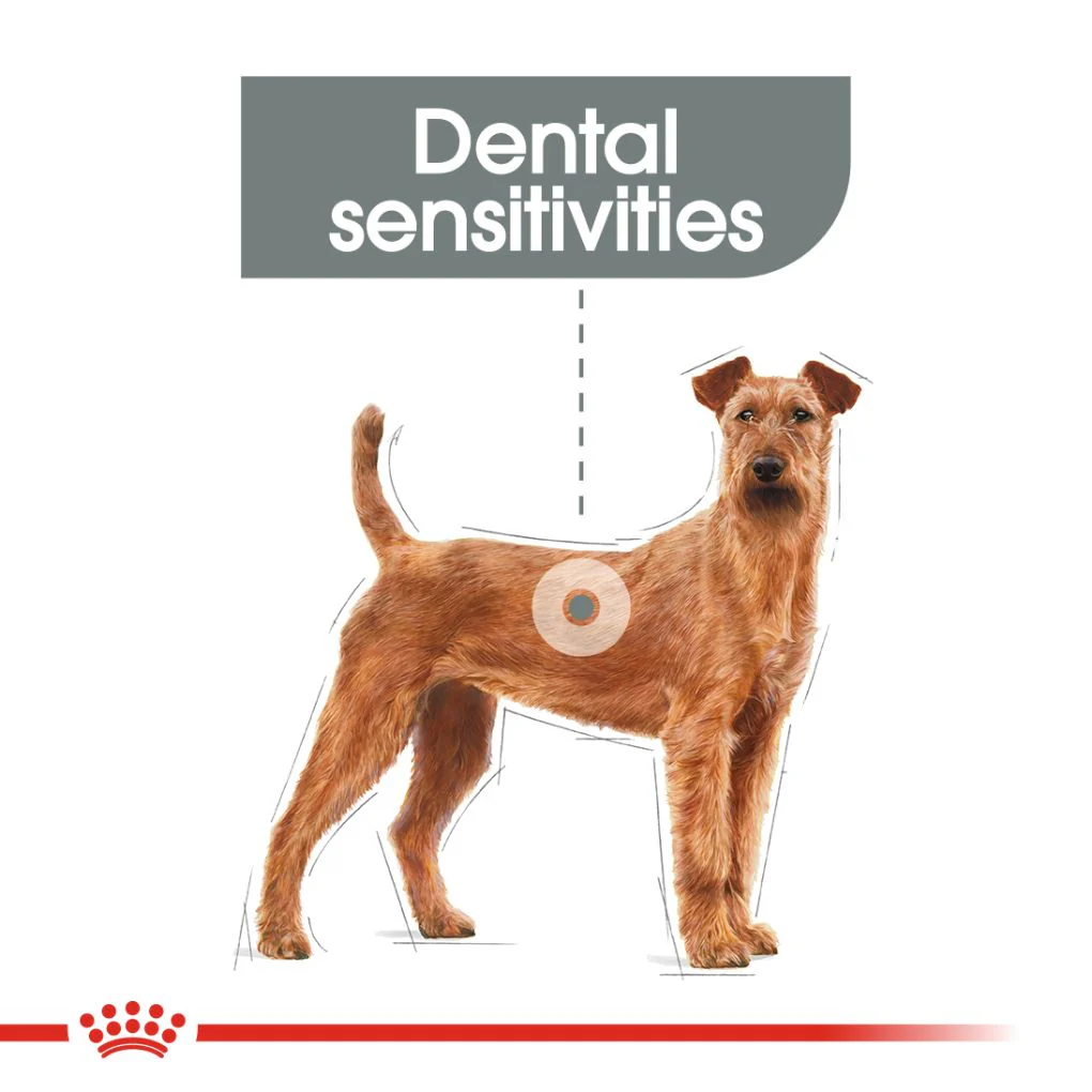 Royal Canin Medium Dental Care - Image 6