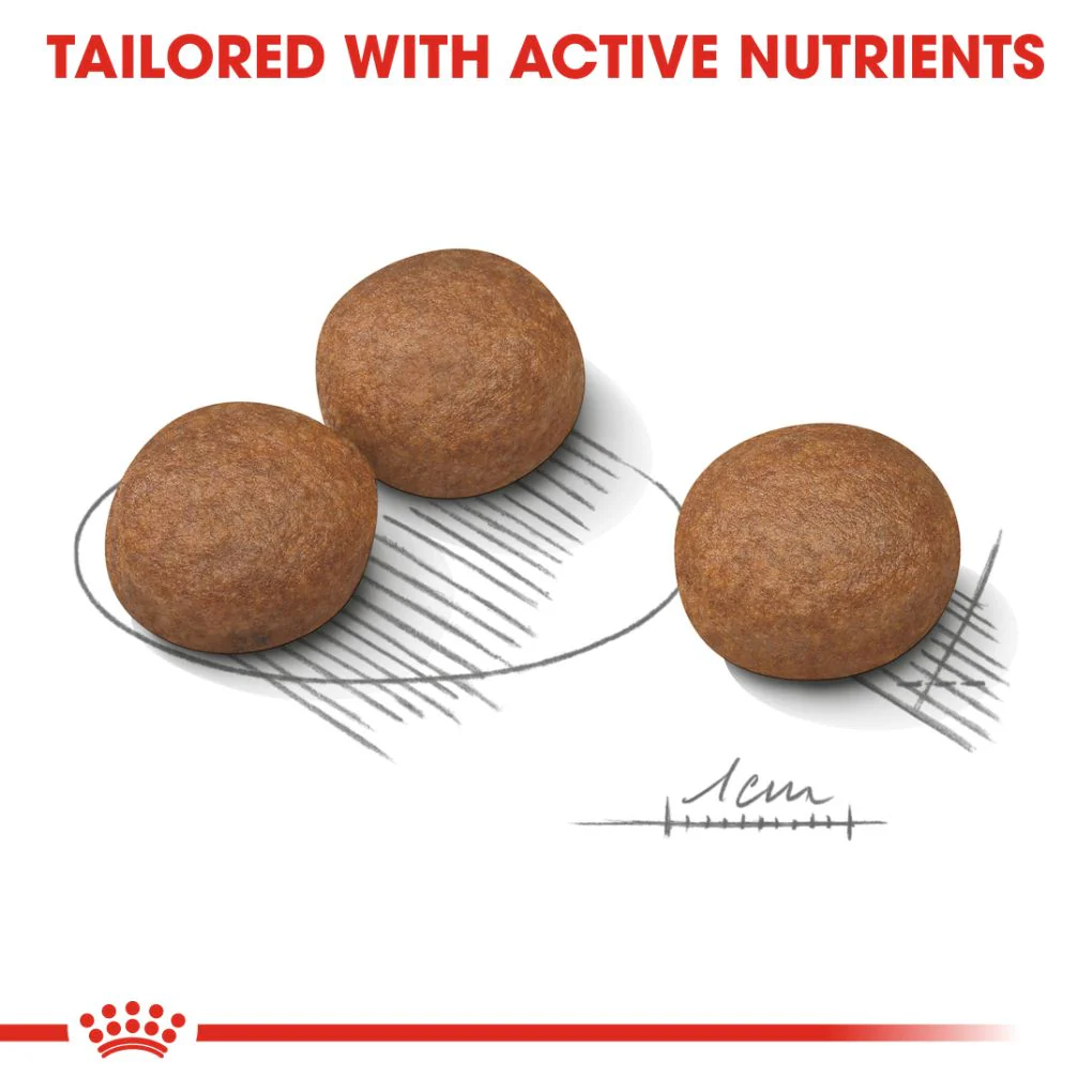 Royal Canin Medium Digestive Care - Image 4
