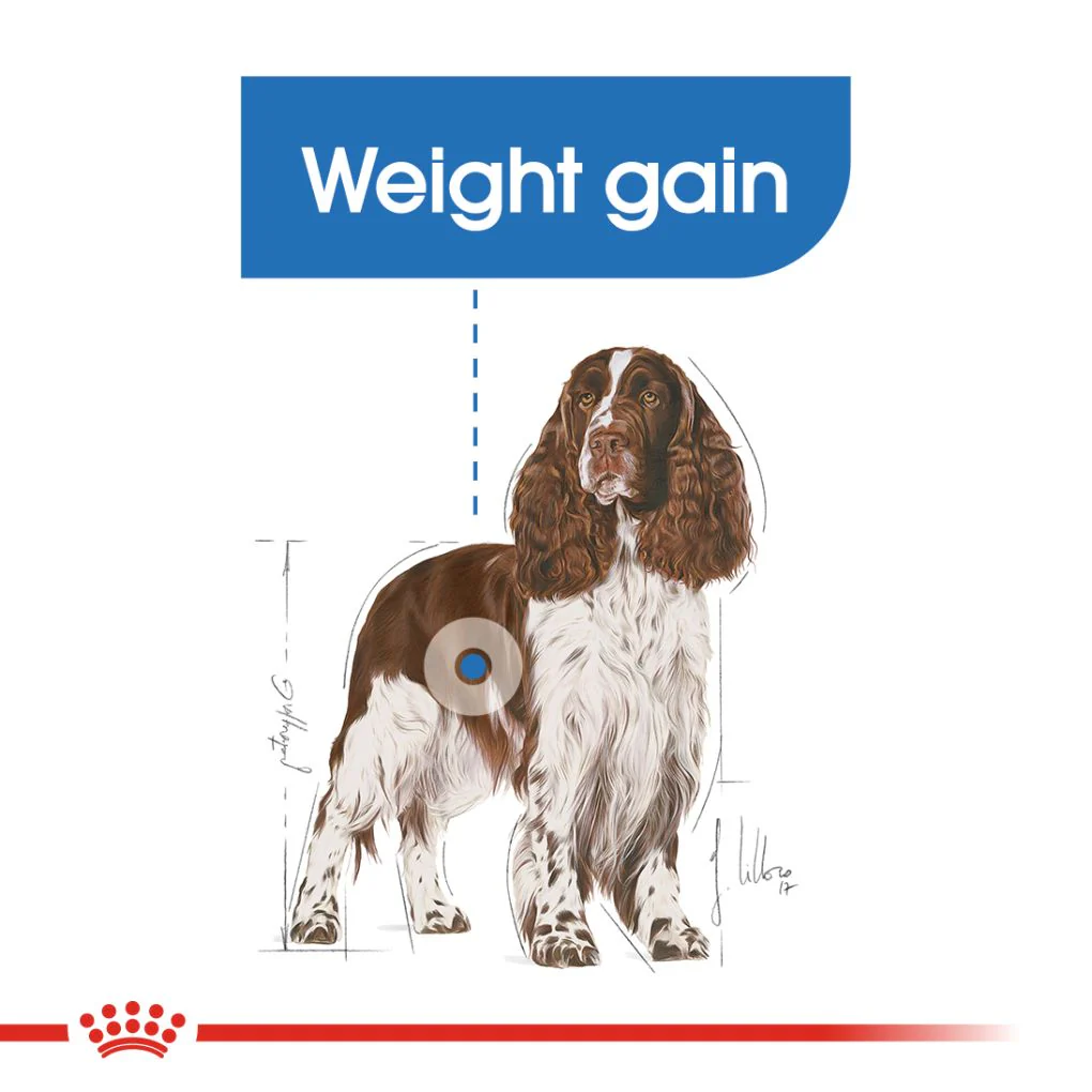 Royal Canin Medium Light Weight Care - Image 7