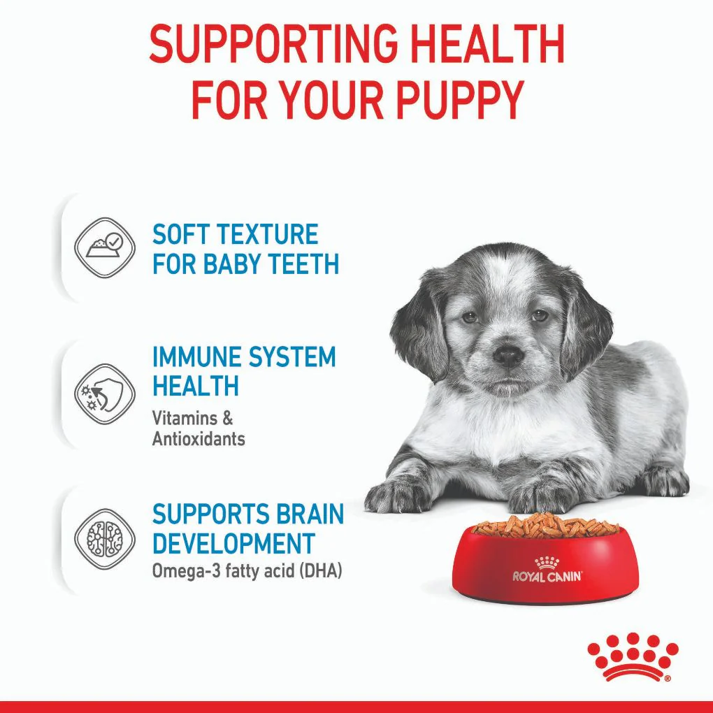 Royal Canin Medium Puppy Pouches - Image 3