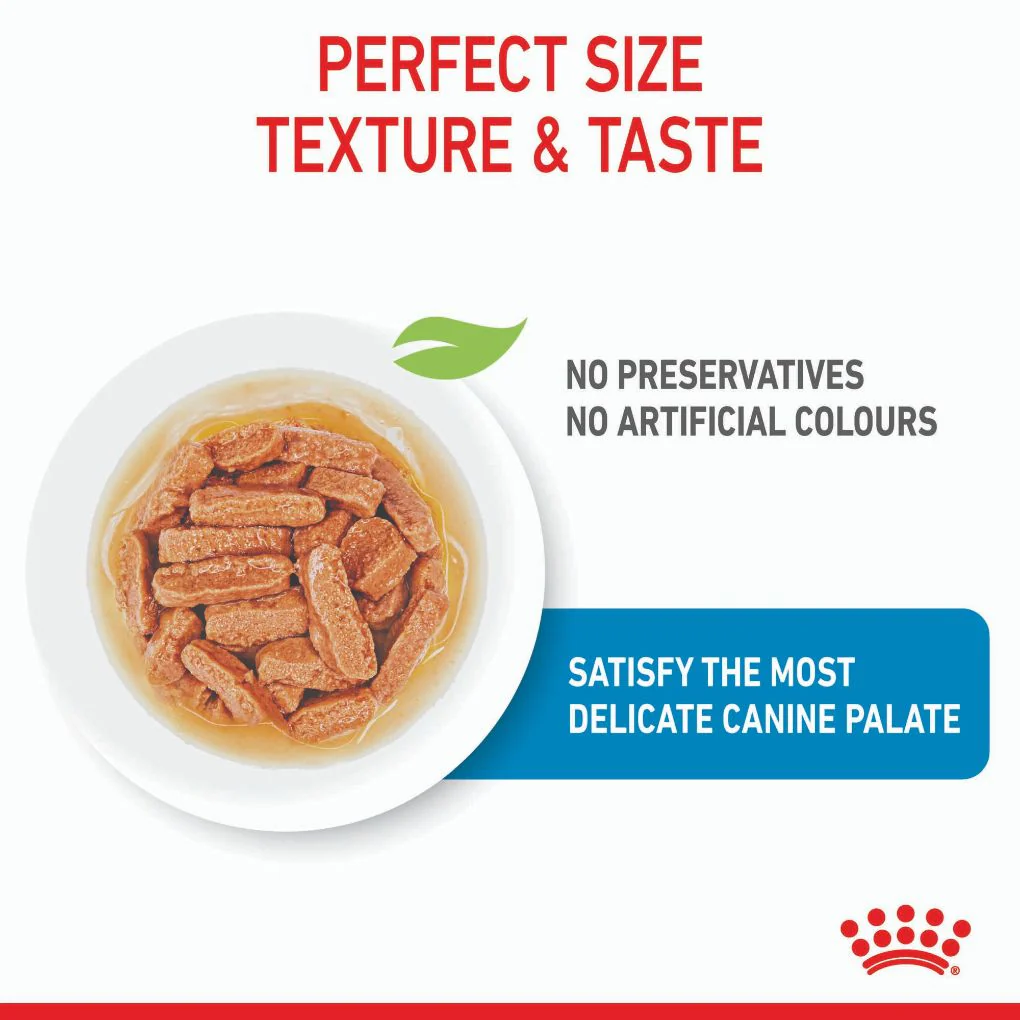 Royal Canin Medium Puppy Pouches - Image 4