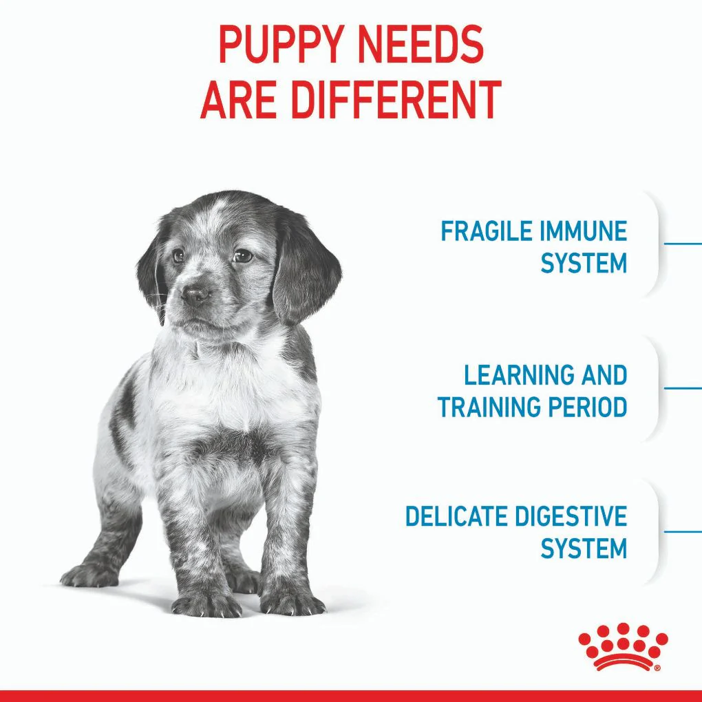 Royal Canin Medium Puppy - Image 2