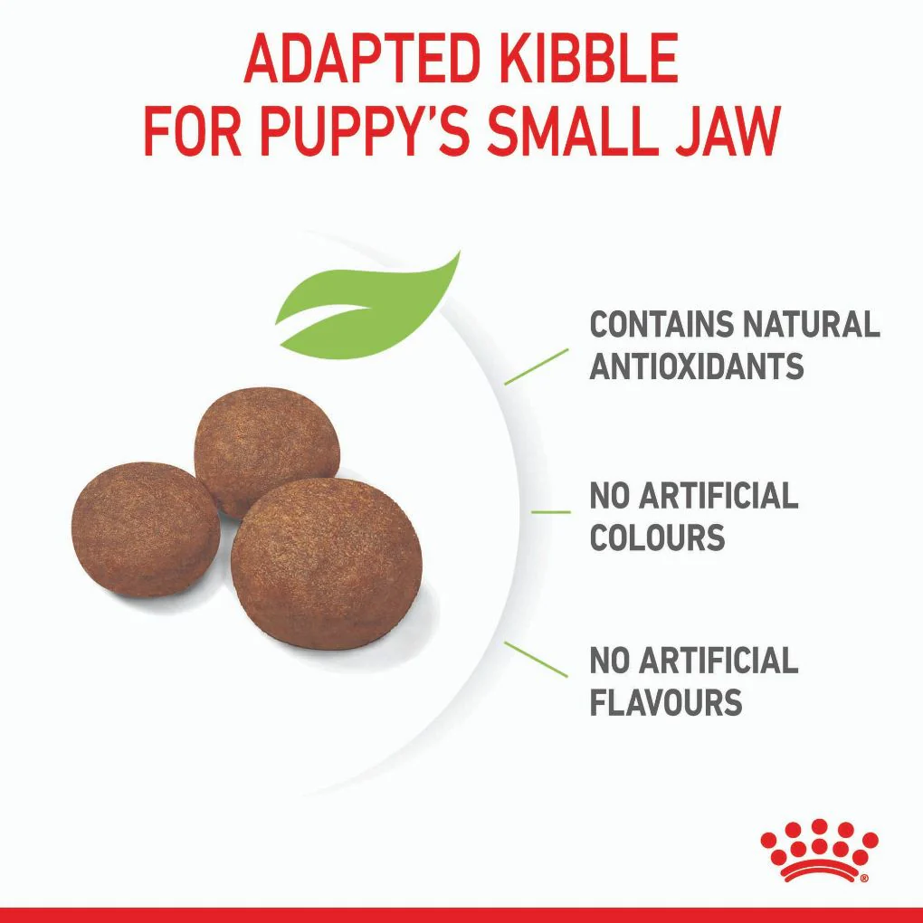 Royal Canin Medium Puppy - Image 3