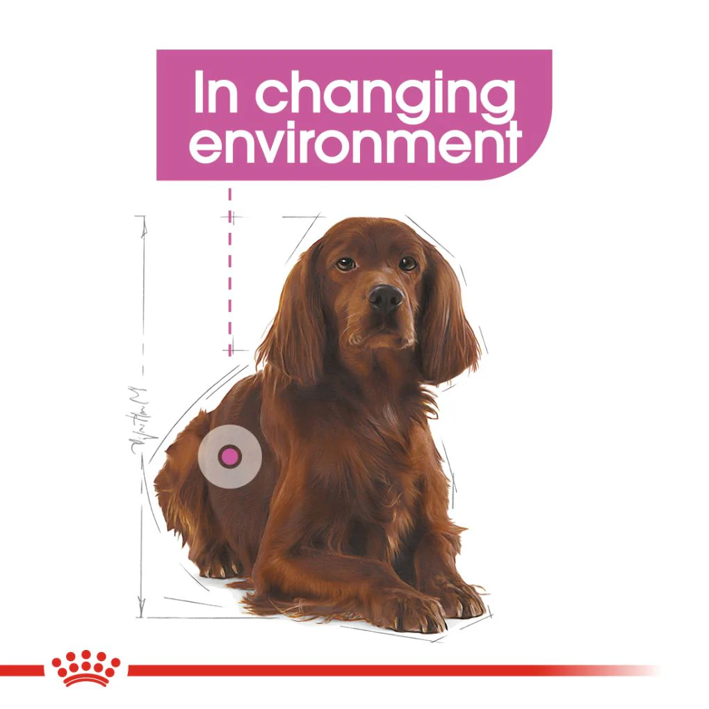 Royal Canin Medium Relax Care - Image 7