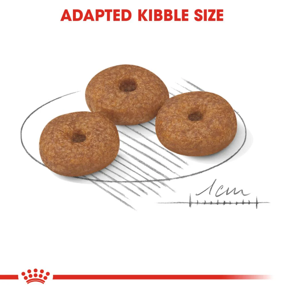 Royal Canin Mini Adult 12+ 1.5kg - Image 3