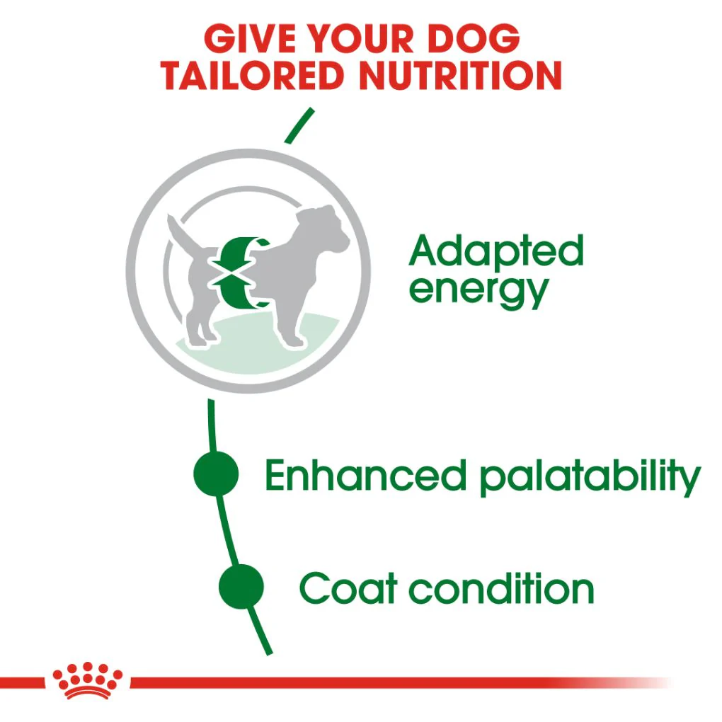 Royal Canin Mini Adult - Image 2