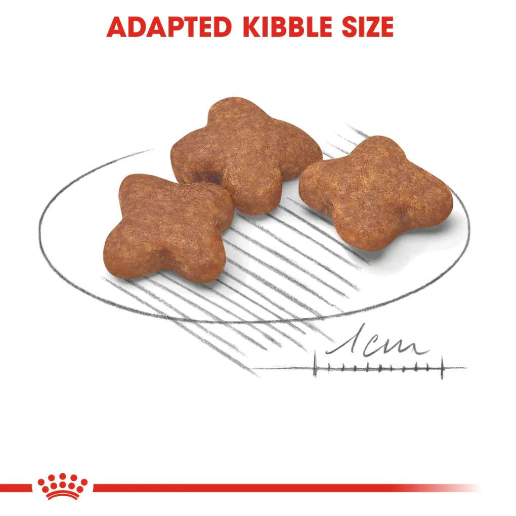 Royal Canin Mini Adult 8+ 2kg - Image 3