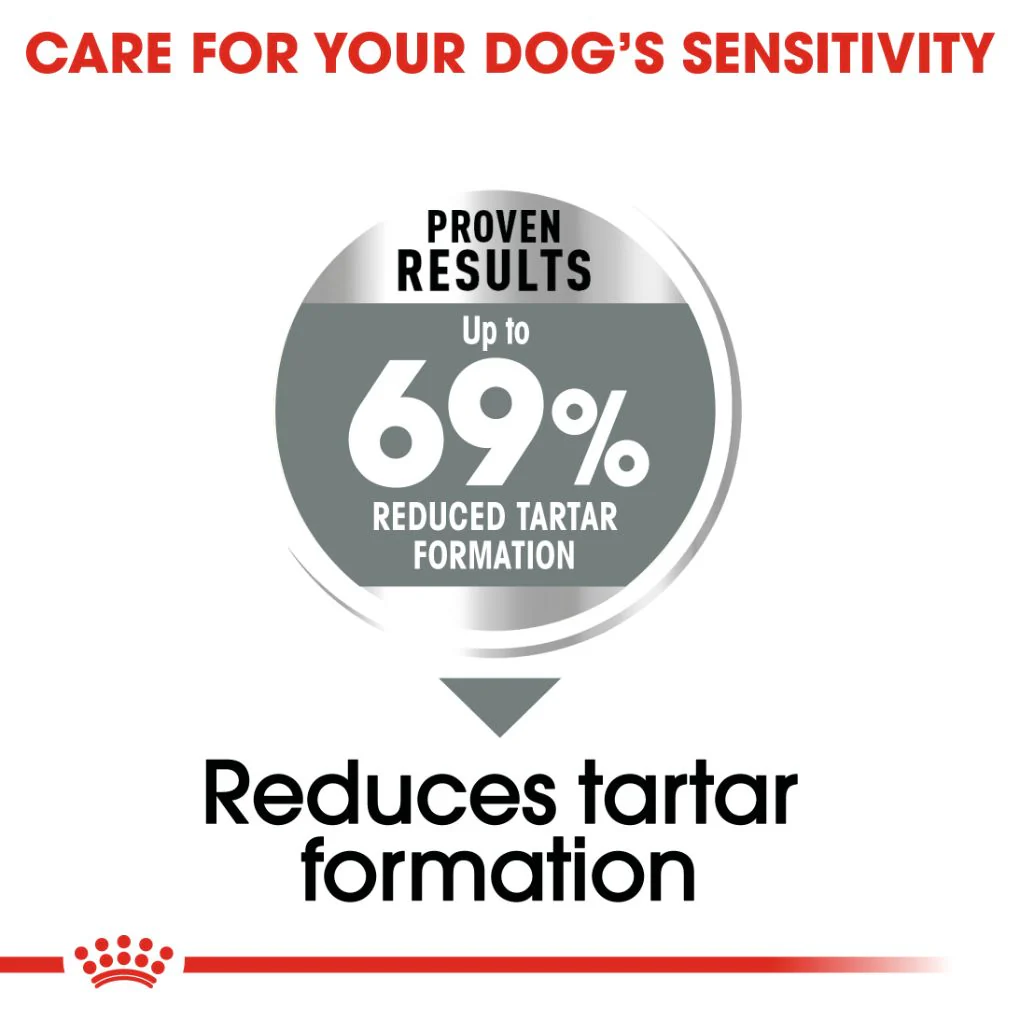 Royal Canin Mini Dental Care 3kg - Image 2