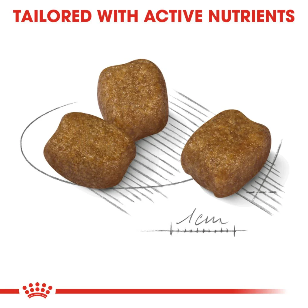 Royal Canin Mini Dental Care 3kg - Image 3