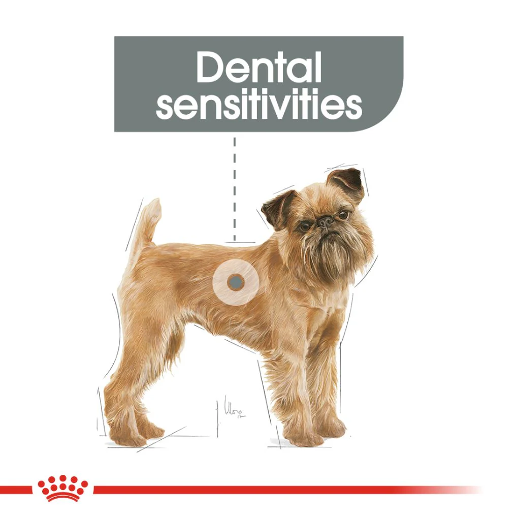 Royal Canin Mini Dental Care 3kg - Image 4