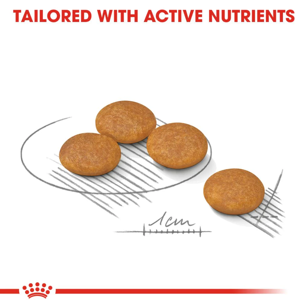 Royal Canin Mini Dermacomfort 3kg - Image 3