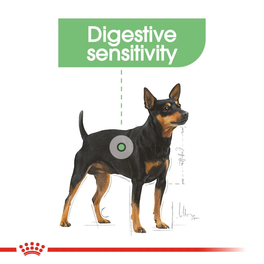 Royal Canin Mini Digestive Care - Image 4