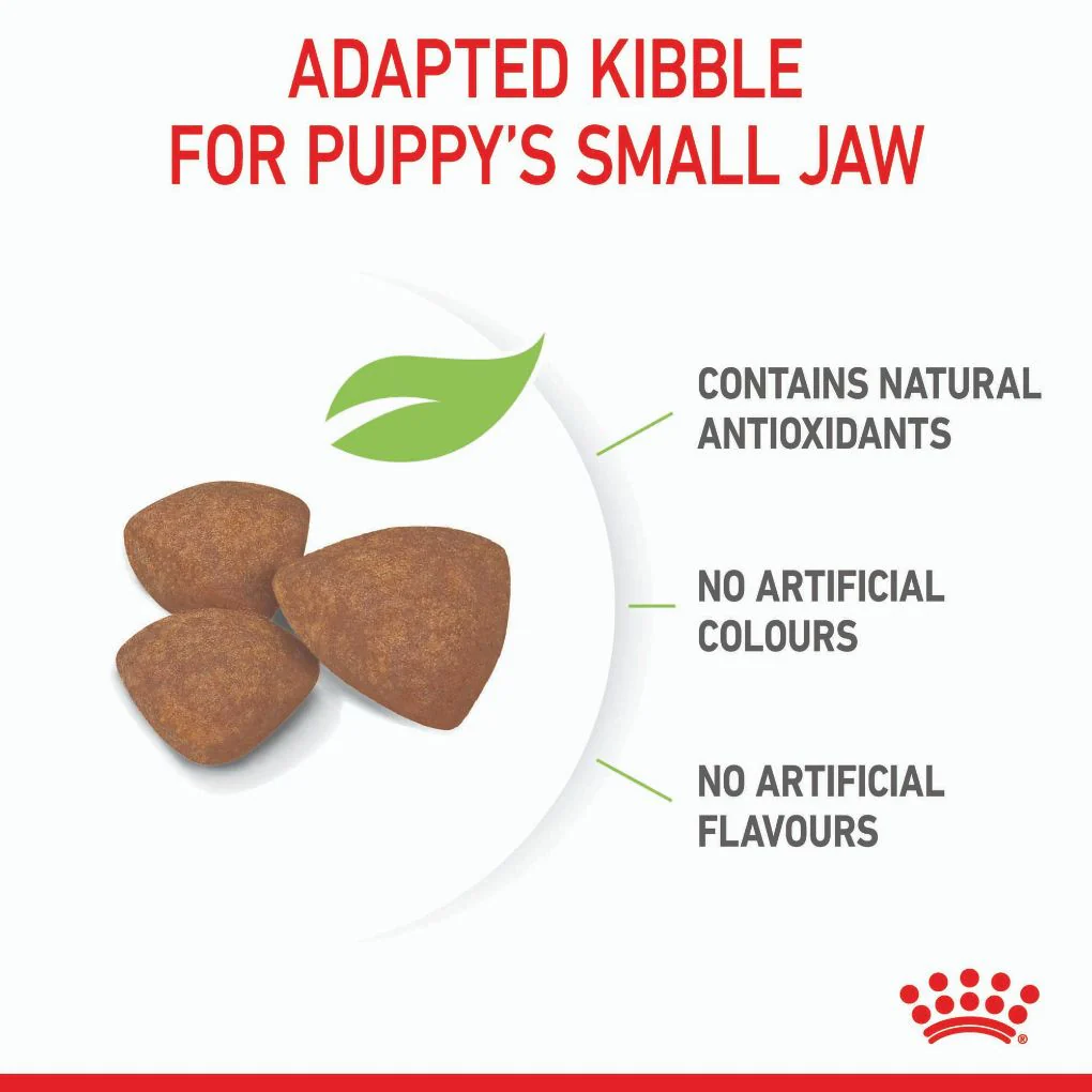 Royal Canin Mini Puppy - Image 2