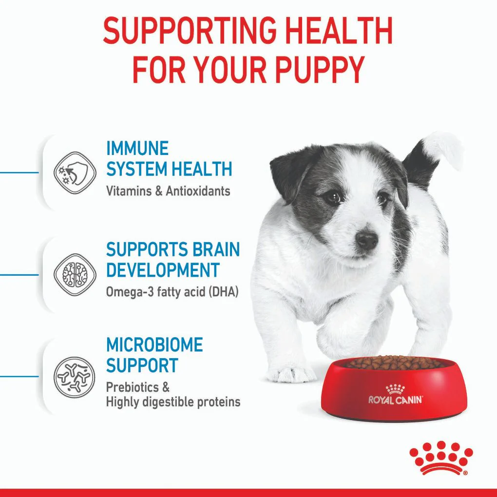 Royal Canin Mini Puppy - Image 3