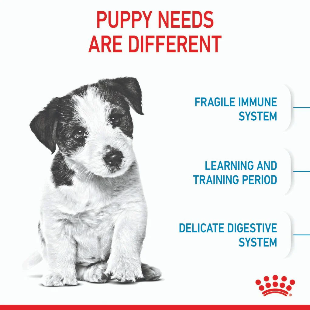 Royal Canin Mini Puppy - Image 4