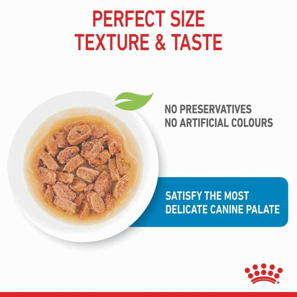 Royal Canin Mini Puppy Pouches - Image 3