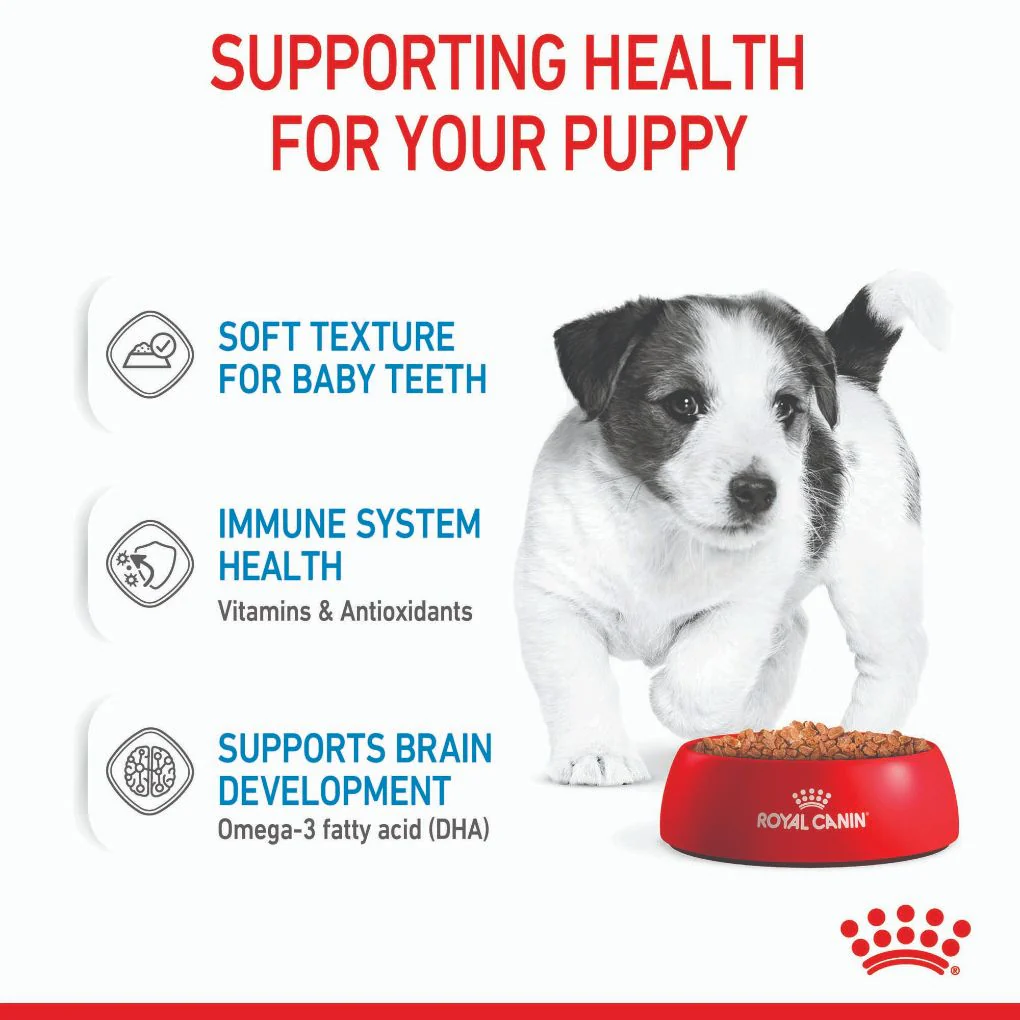 Royal Canin Mini Puppy Pouches - Image 4