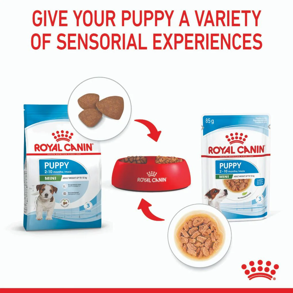 Royal Canin Mini Puppy Pouches - Image 5