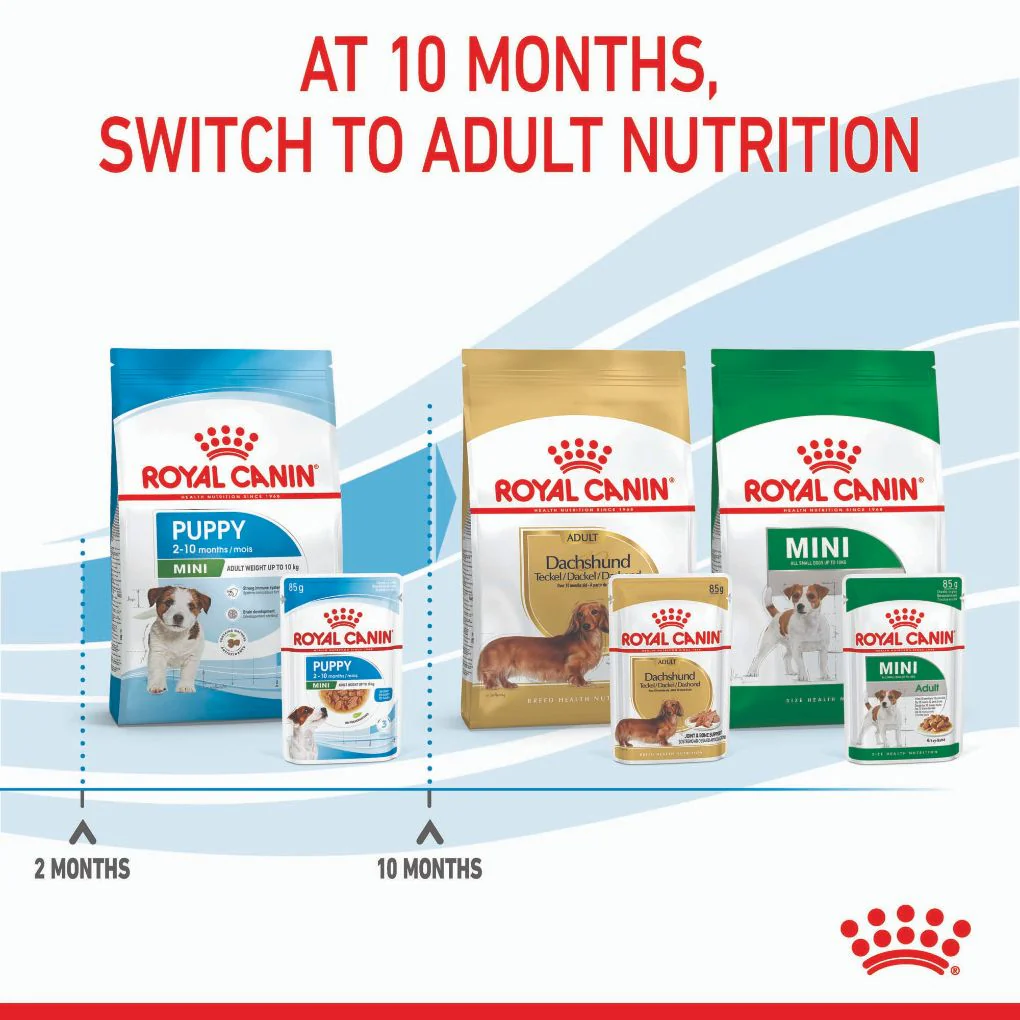 Royal Canin Mini Puppy Pouches - Image 8