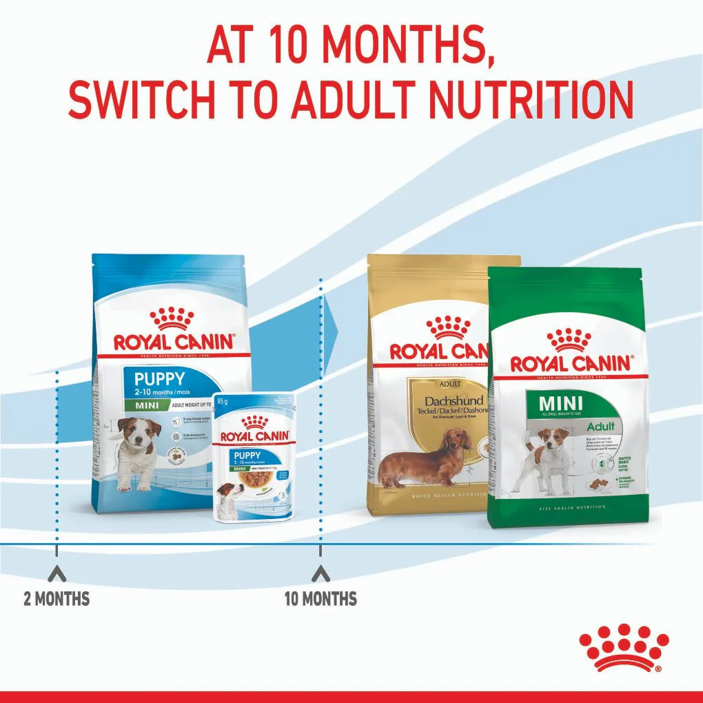 Royal Canin Mini Puppy - Image 9