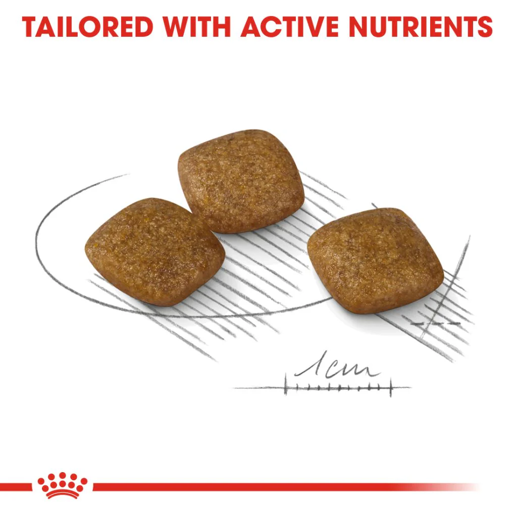 Royal Canin Mini Relax Care 3kg - Image 3