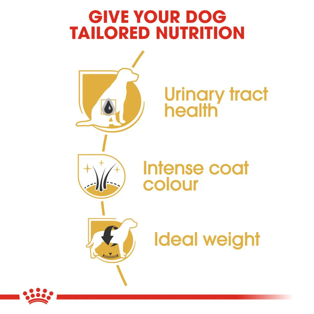 Royal Canin Miniature Schnauzer Adult - Image 2