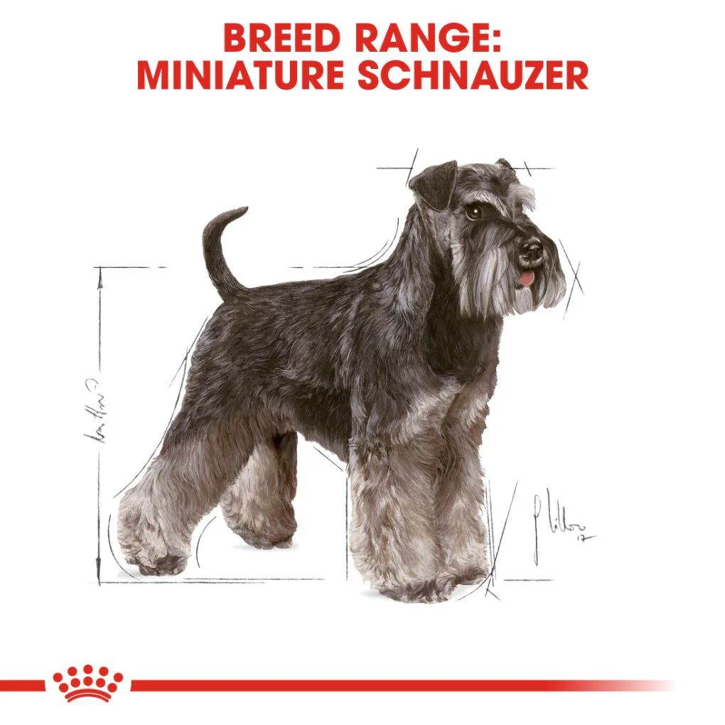 Royal Canin Miniature Schnauzer Adult - Image 4