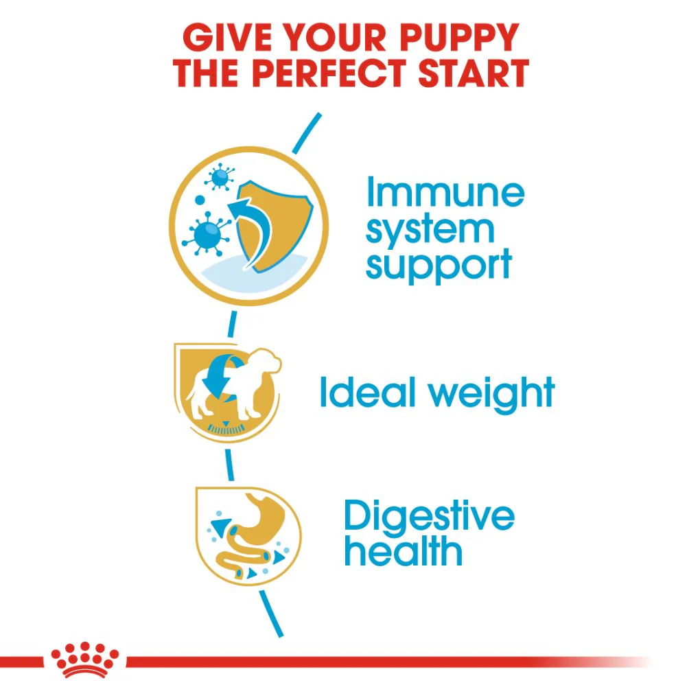 Royal Canin Miniature Schnauzer Puppy 1.5kg - Image 2