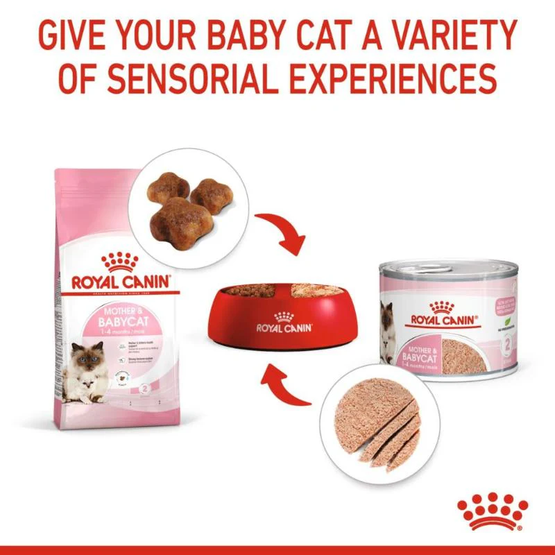 Royal Canin Mother & Babycat Mousse 195g - Image 3