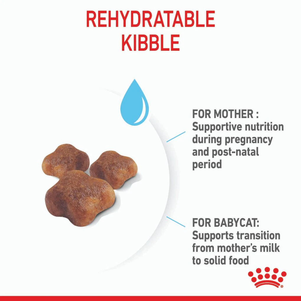 Royal Canin Mother & Babycat - Image 3
