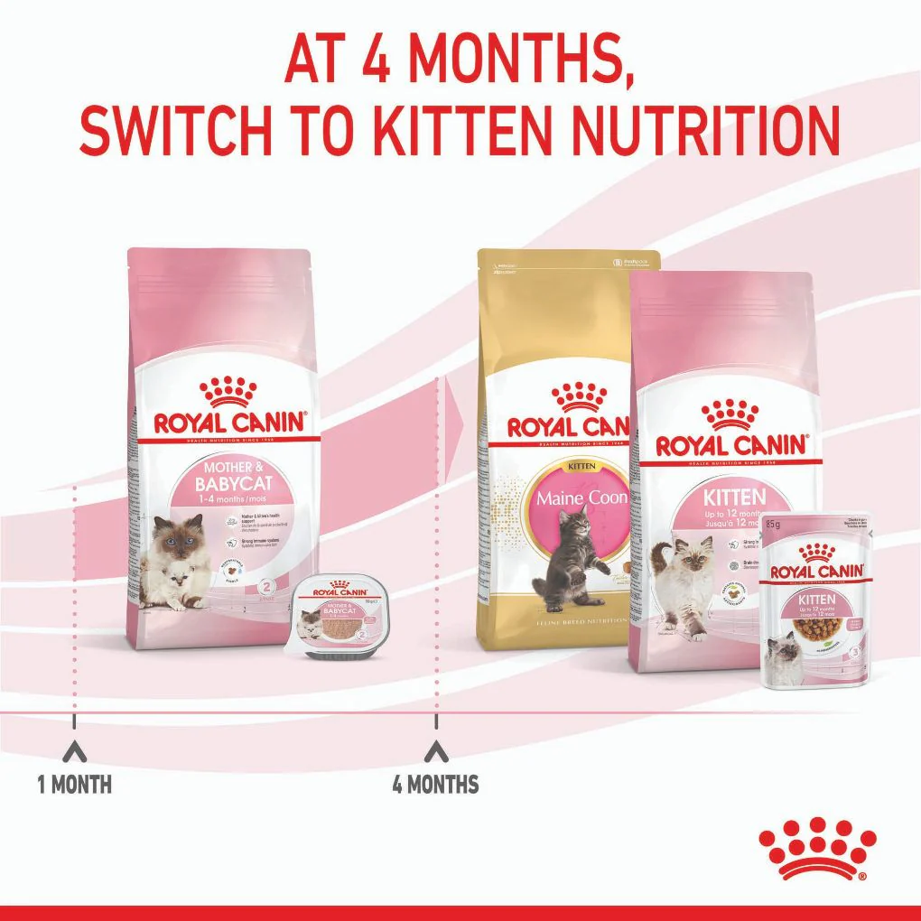 Royal Canin Mother & Babycat - Image 4