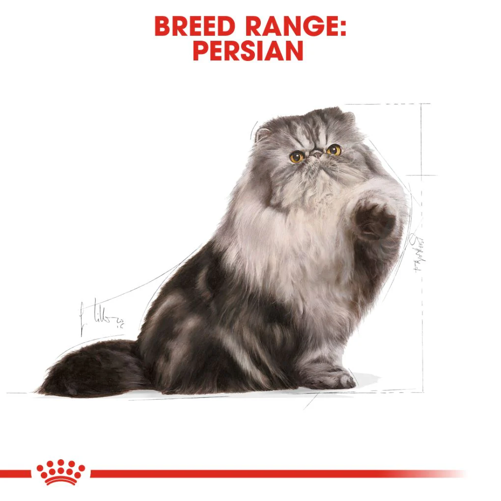 Royal Canin Persian - Image 8
