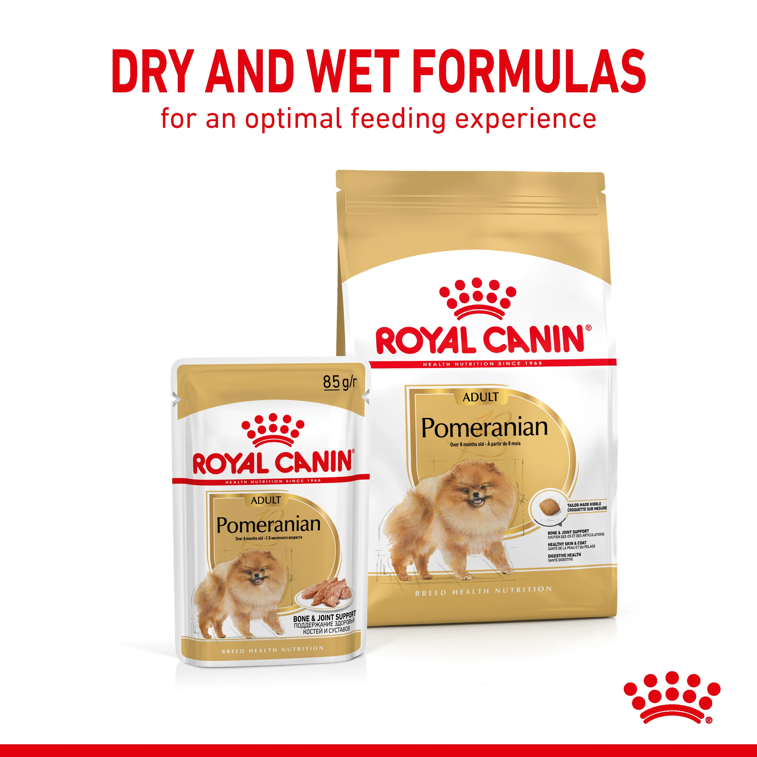 Royal Canin Pomeranian Adult 1.5kg - Image 6