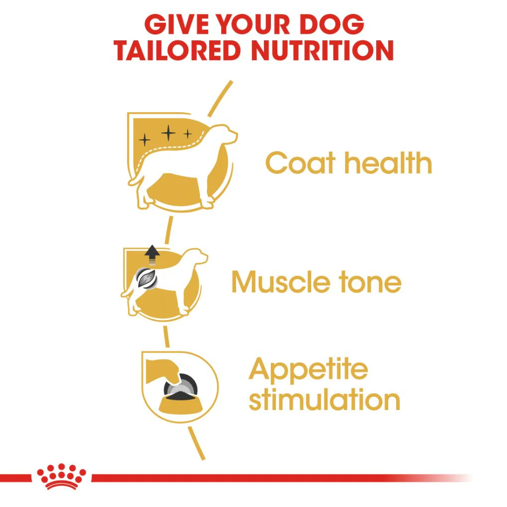 Royal Canin Poodle Pouches - Image 2