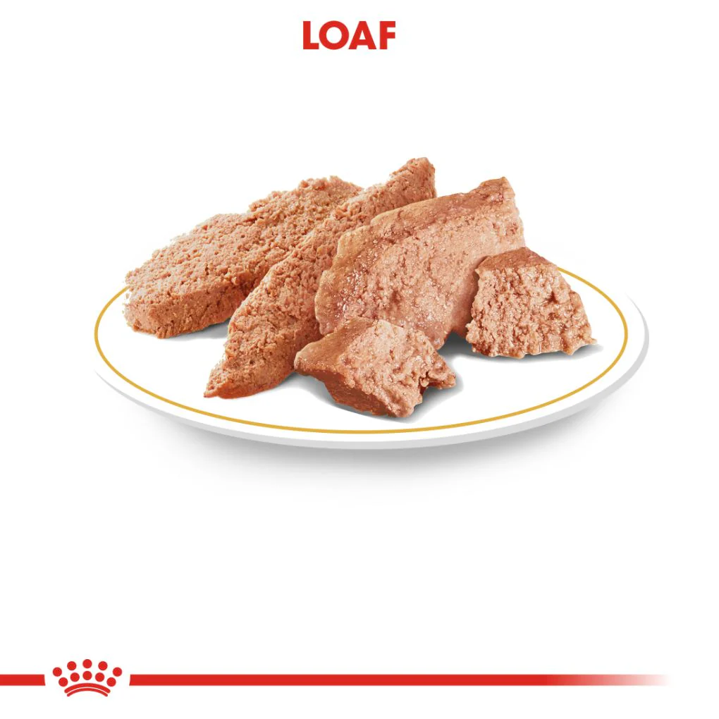 Royal Canin Poodle Pouches - Image 3