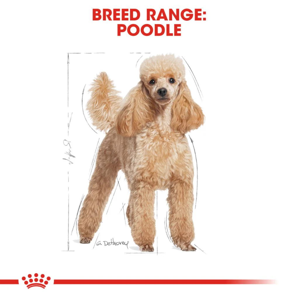 Royal Canin Poodle Pouches - Image 4