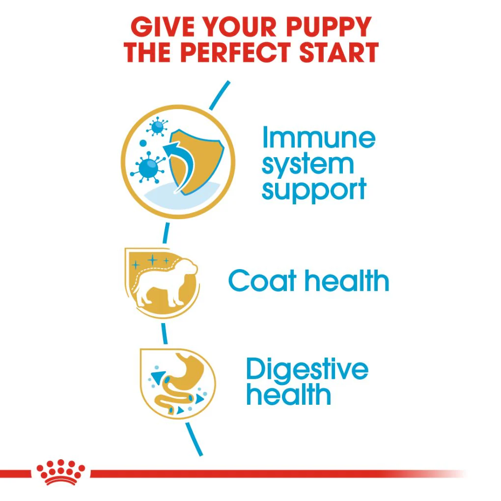 Royal Canin Poodle Puppy 3kg - Image 2