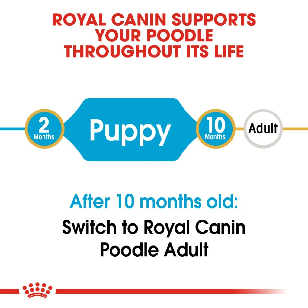 Royal Canin Poodle Puppy 3kg - Image 7