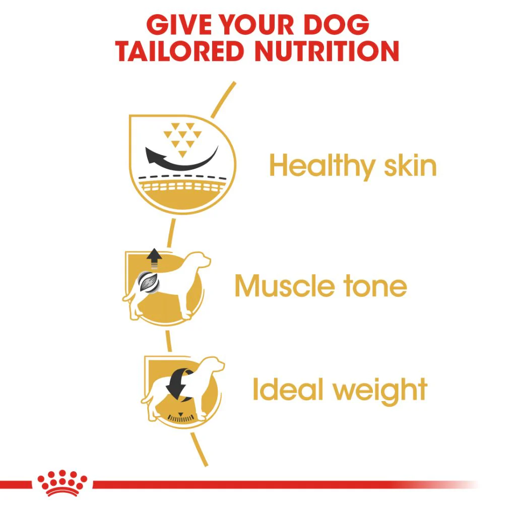 Royal Canin Pug Adult - Image 2