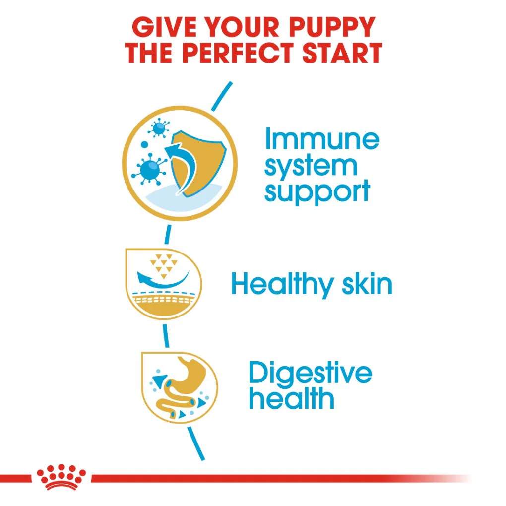 Royal Canin Pug Puppy 1.5kg - Image 2