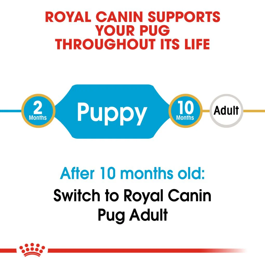 Royal Canin Pug Puppy 1.5kg - Image 5