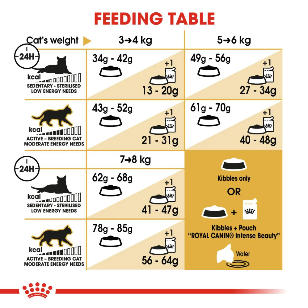 Royal Canin Ragdoll - Image 6