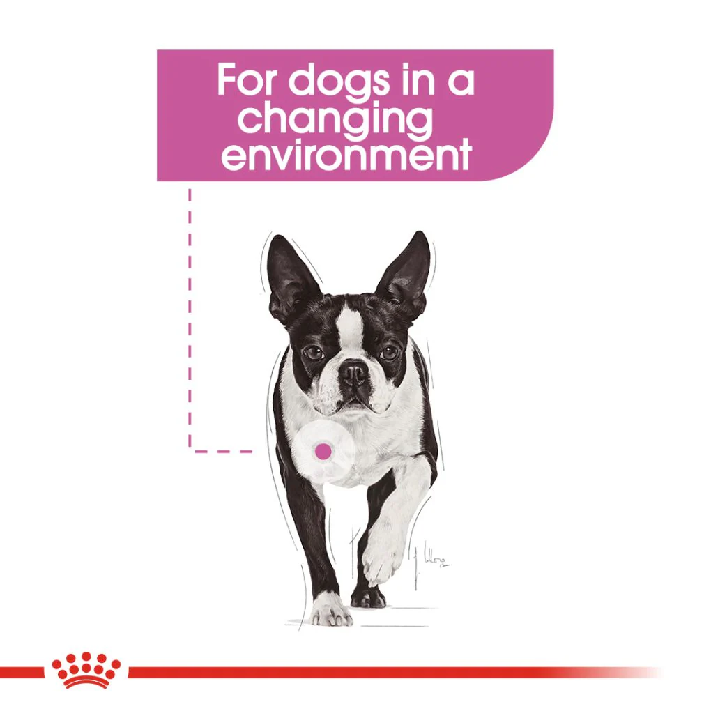 Royal Canin Relax Care Loaf Pouches - Image 3