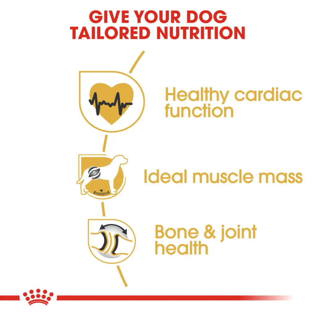 Royal Canin Rottweiler Adult 12kg - Image 2