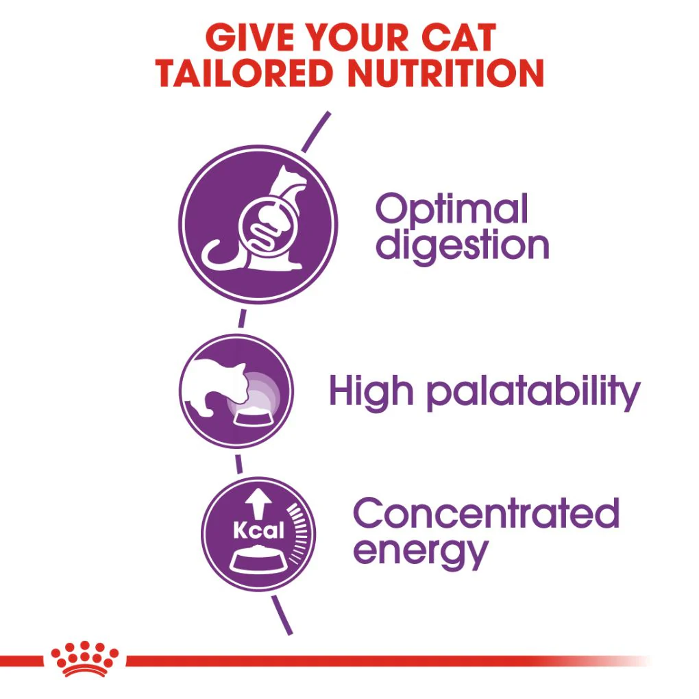 Royal Canin Sensible Adult Cat - Image 2