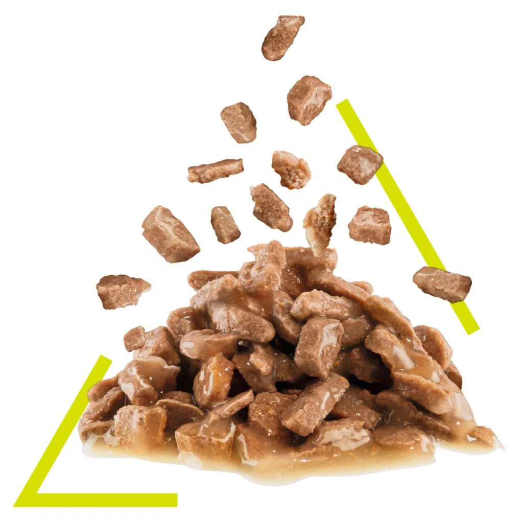 Royal Canin Sensory Smell Gravy 85g x12 - Image 3