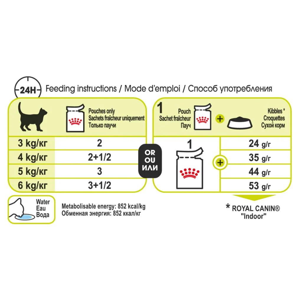 Royal Canin Sensory Smell Gravy 85g x12 - Image 5