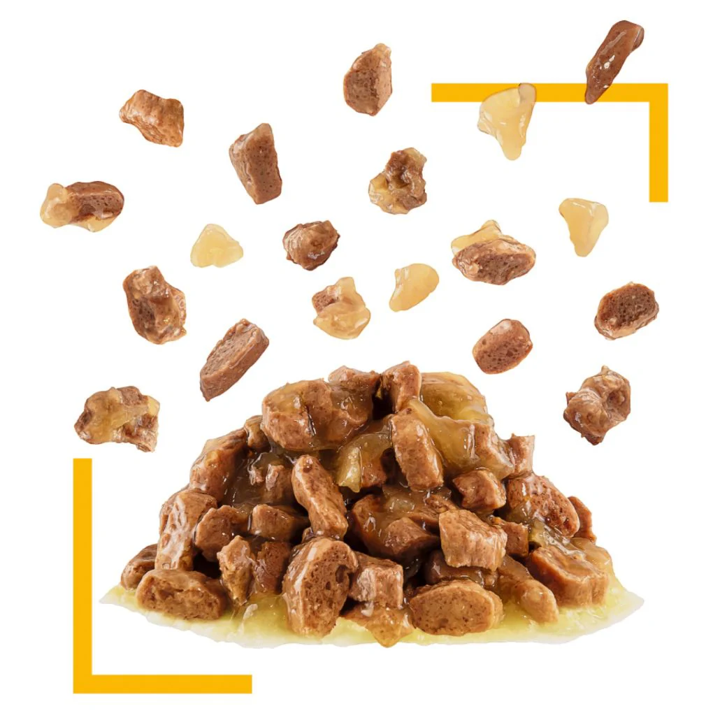 Royal Canin Sensory Taste Jelly 85g x12 - Image 3
