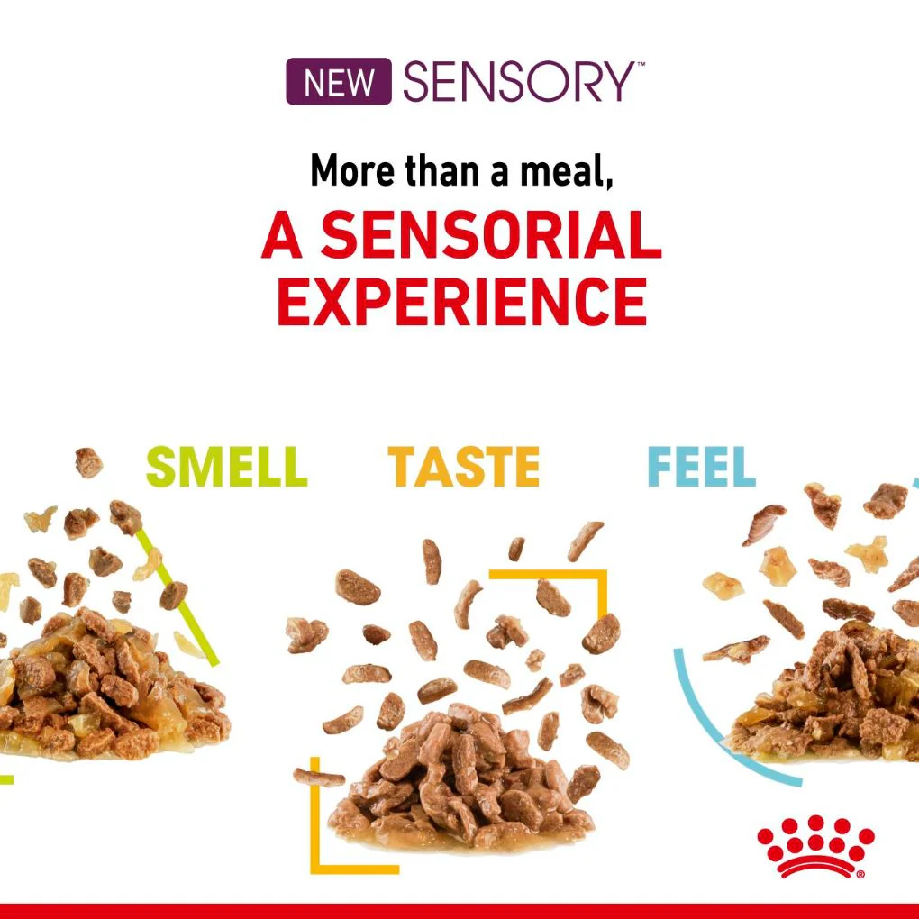 Royal Canin Sensory Taste Jelly 85g x12 - Image 4